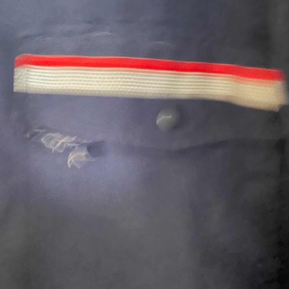 Vintage USPS Letter Carrier Wind Breaker - Picture 3 of 4